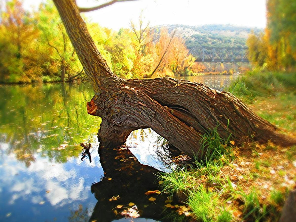 El Balcon De San Juan Daire Soria Dış mekan fotoğraf